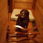 10609630_10209494075454524_3208294994800900342_n